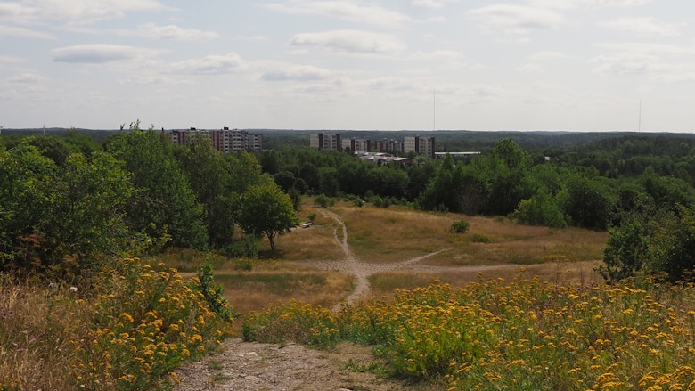 Kuvassa vuokrakerrostaloja Luolavuoren laelta kuvattuna