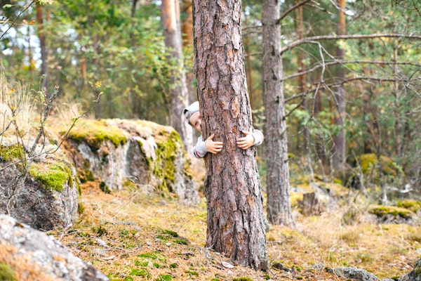 Kuvassa pikkupoika kurkistaa puun takaa.