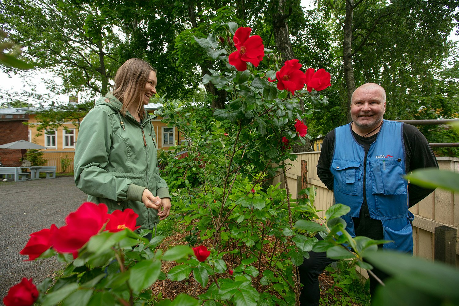 Emmi Louhivuori ja Raino Koskinen kukkivan ruusupensaan vieressä.