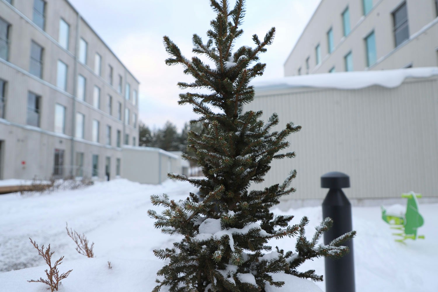 Kirsikan ja Kiteen väliseltä piha-alueelta löytyy mm. yhteinen pihasauna ja lasten leikkipaikka.