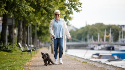 Henkilö taluttaa koiraa jokirannassa.