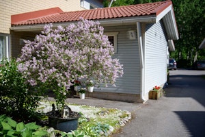 HONKAISTENTIE 64, 20900 Turku