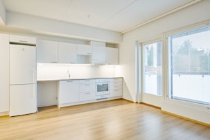 LIPUNKANTAJANKATU 3, 20360 Turku