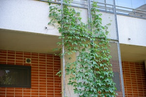 MATRUUSINPOLKU 5, 20810 Turku