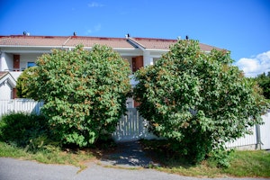 PULPETTIKUJA 2, 20900 Turku