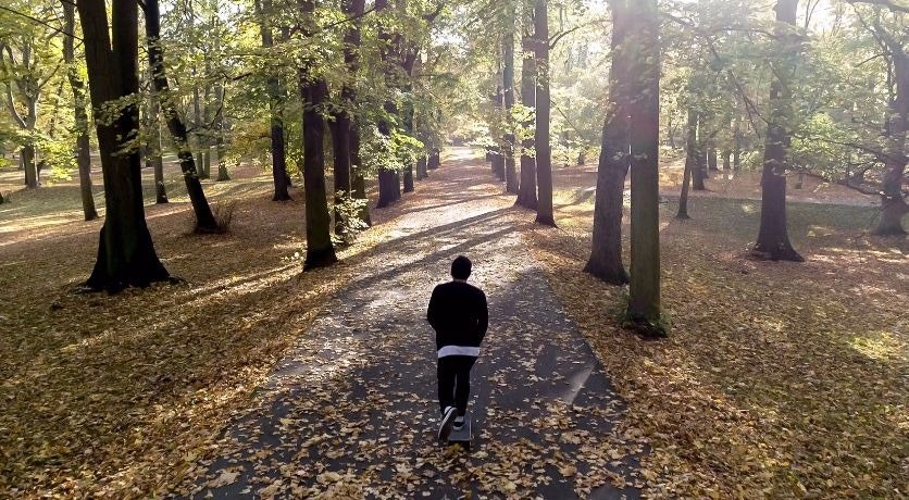 Cover Image for PETR KŘEPELKA. vegetation,path,tree,land,woodland,outdoors,person,grove,walking,trail