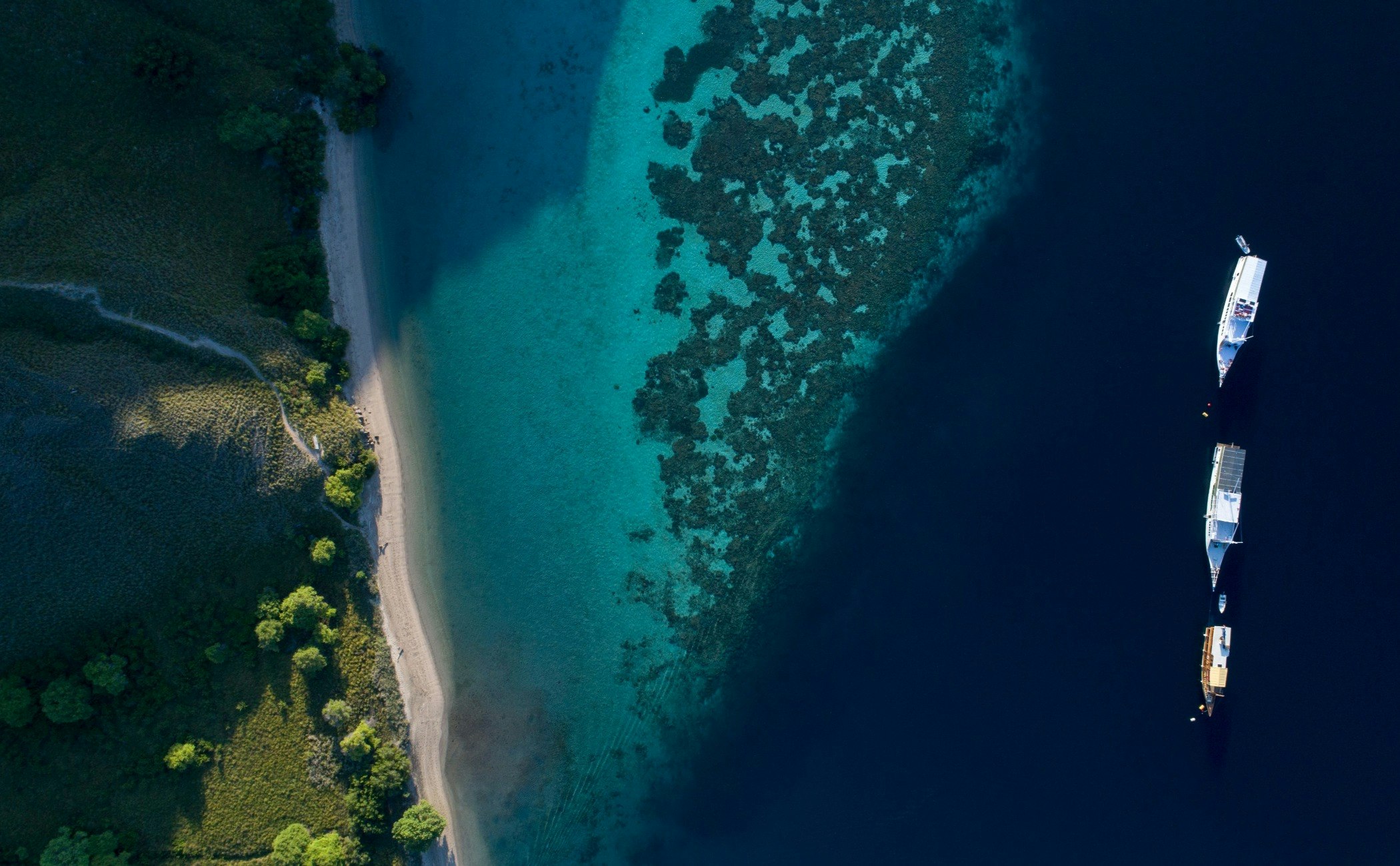 land,nature,outdoors,sea,water,shoreline,landscape,scenery,coast,beach