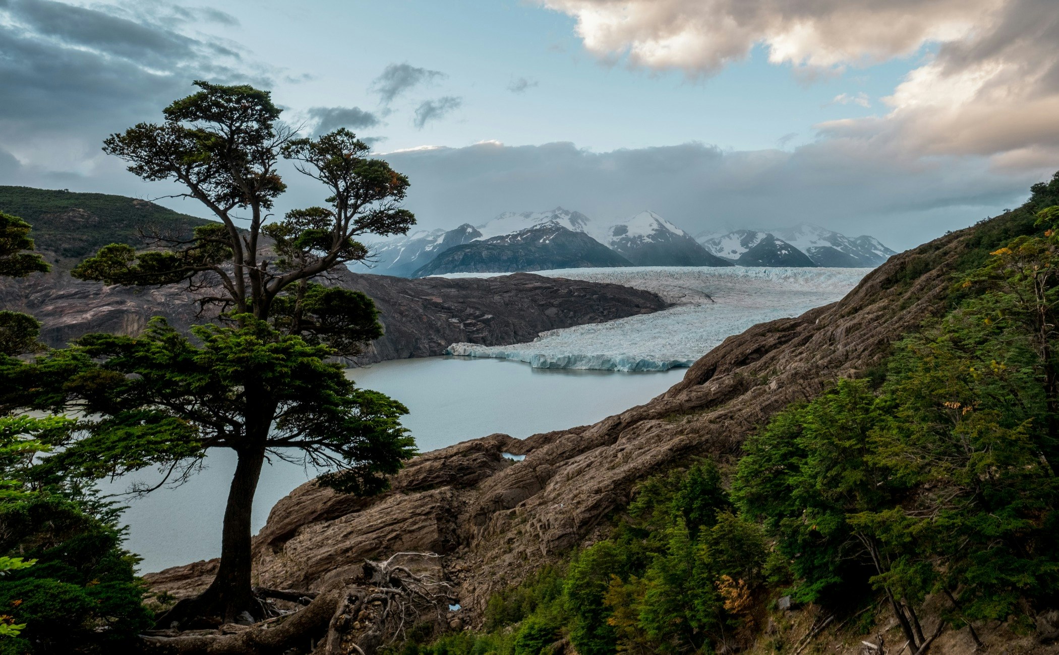 nature,tree,plant,outdoors,mountain,ice,promontory