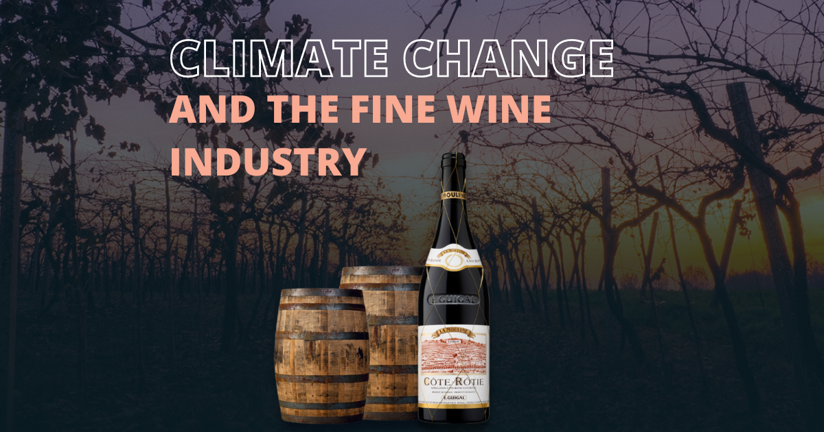 Climate Change and the fine wine industry