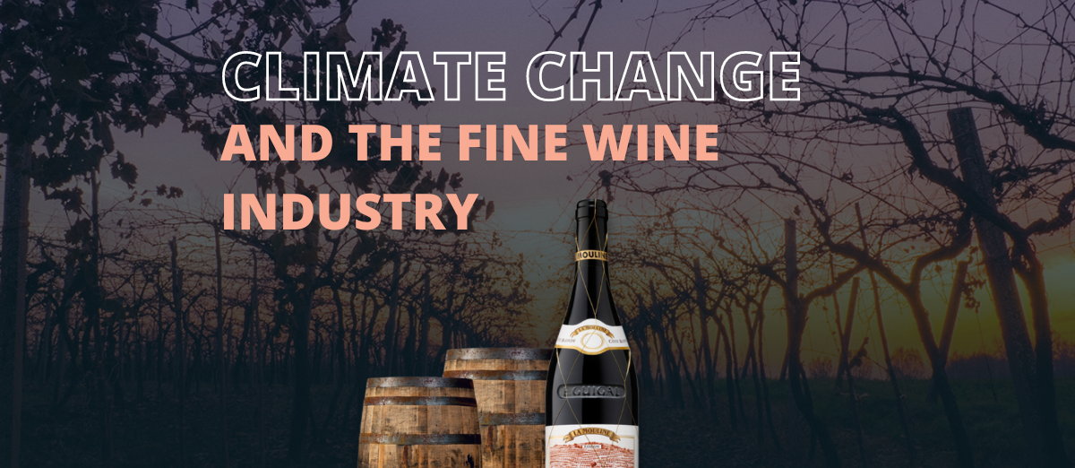 Climate Change and the fine wine industry