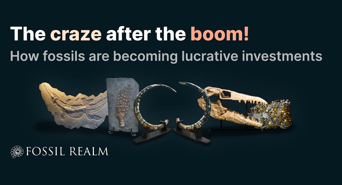 The craze after the boom! How fossils are becoming lucrative investments