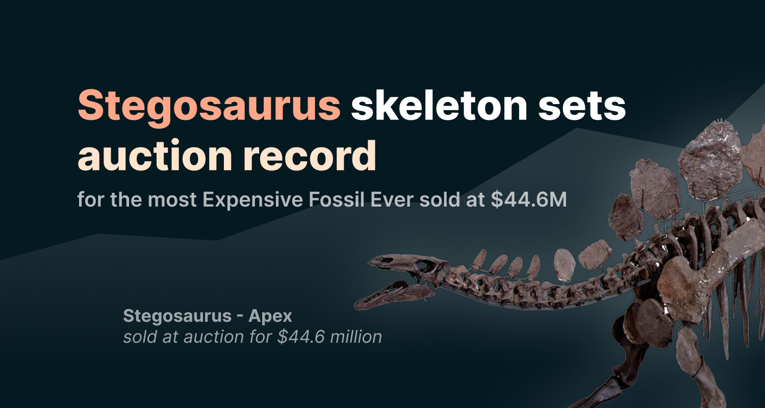 Stegosaurus Skeleton sets Auction Record for the most Expensive Fossil Ever sold at $44.6M