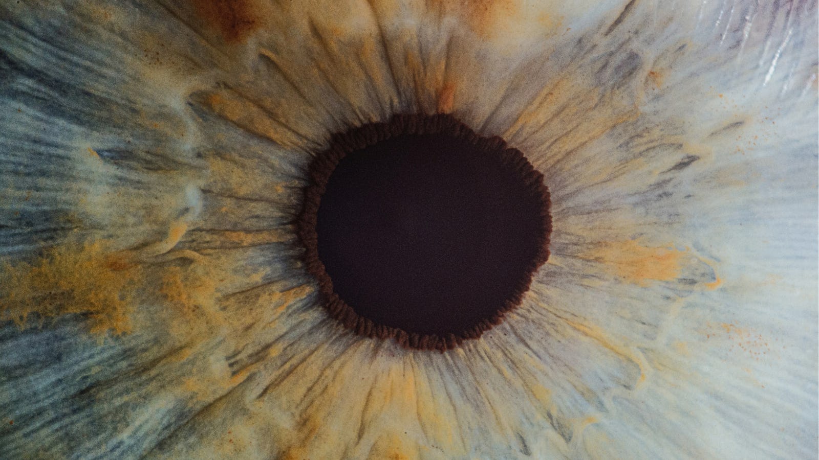 Detail of eye