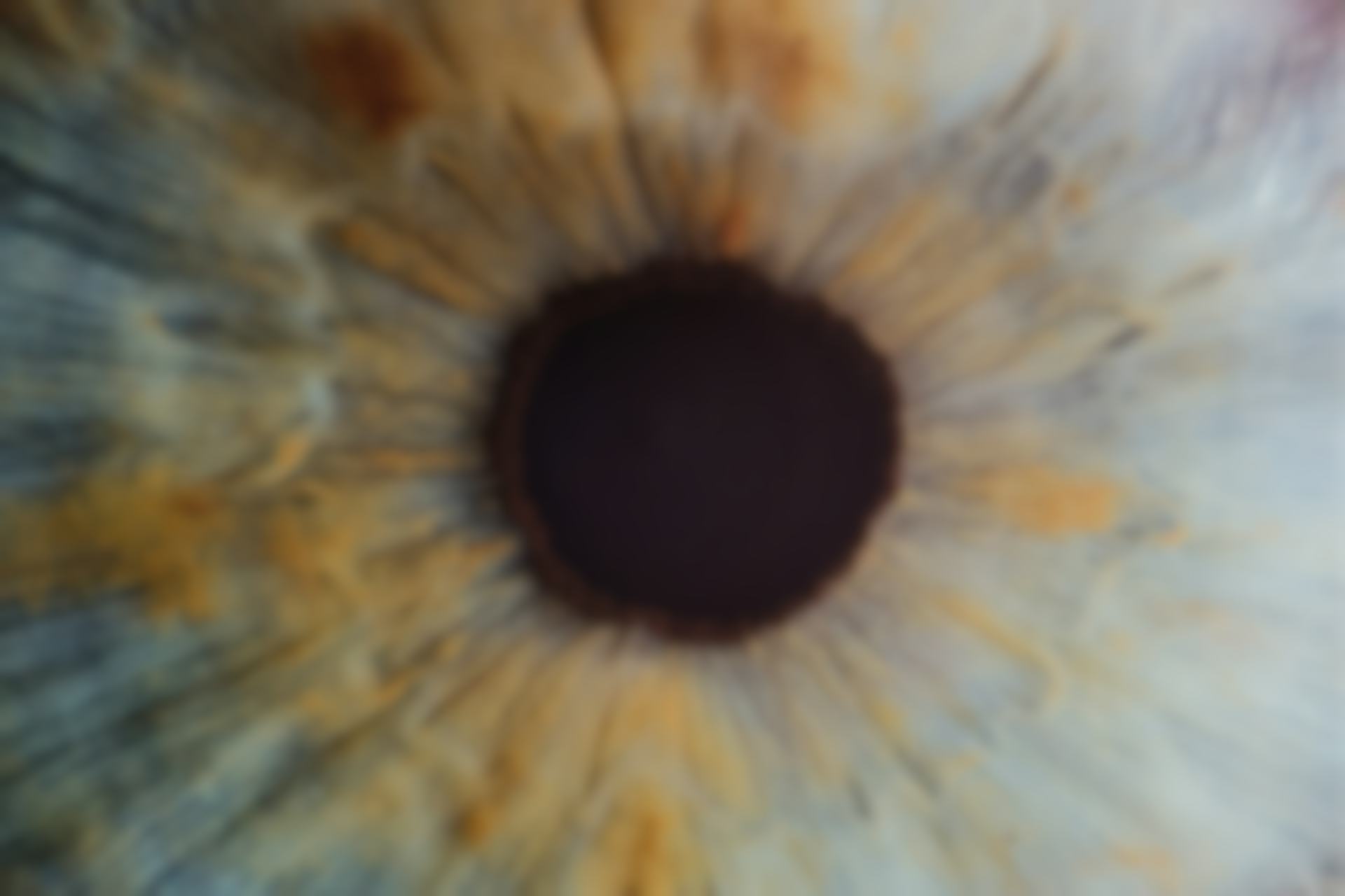 Detail of eye