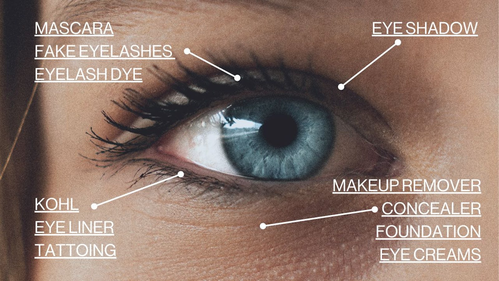 Eye makeup around the eye - annotated picture
