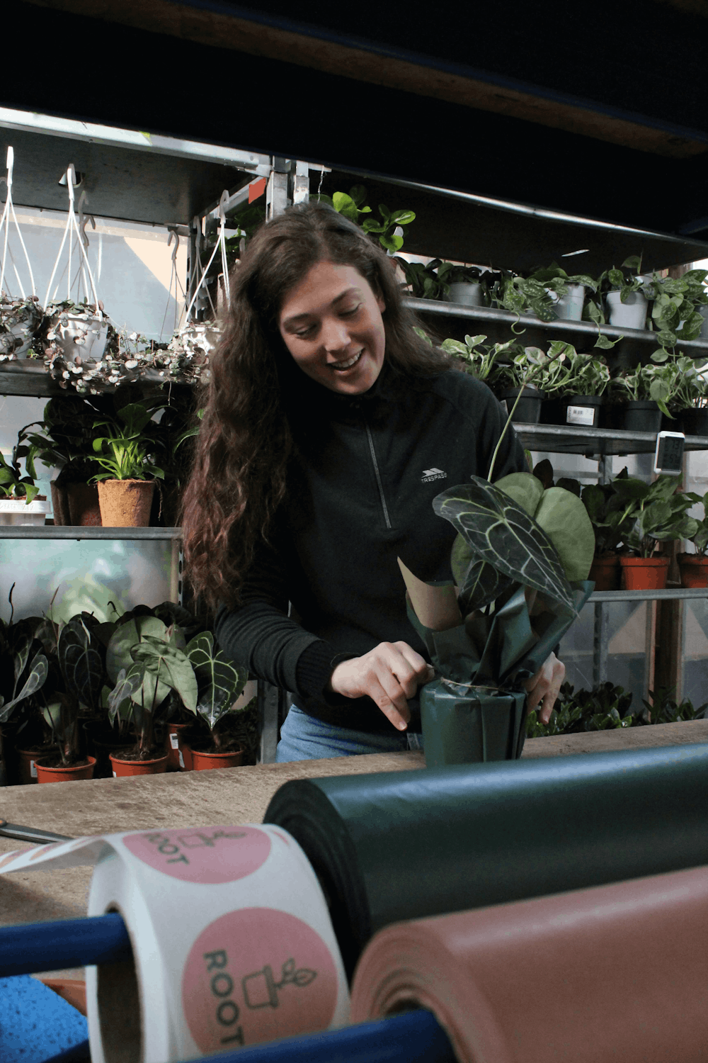 Hannah Cockett | Root Houseplants