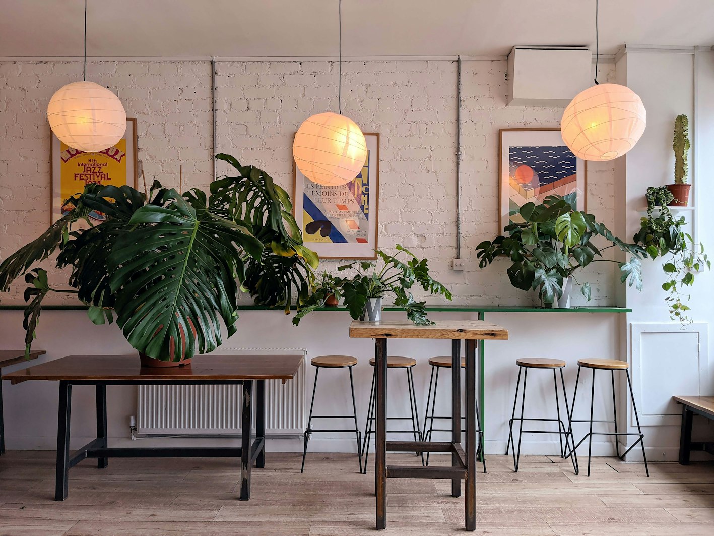 House Plants Liverpool Root Houseplants