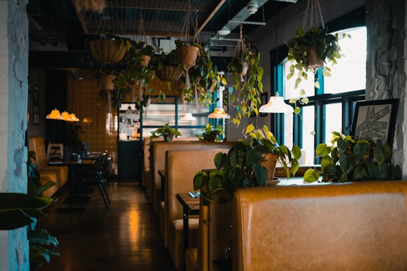 Hanging plant installation