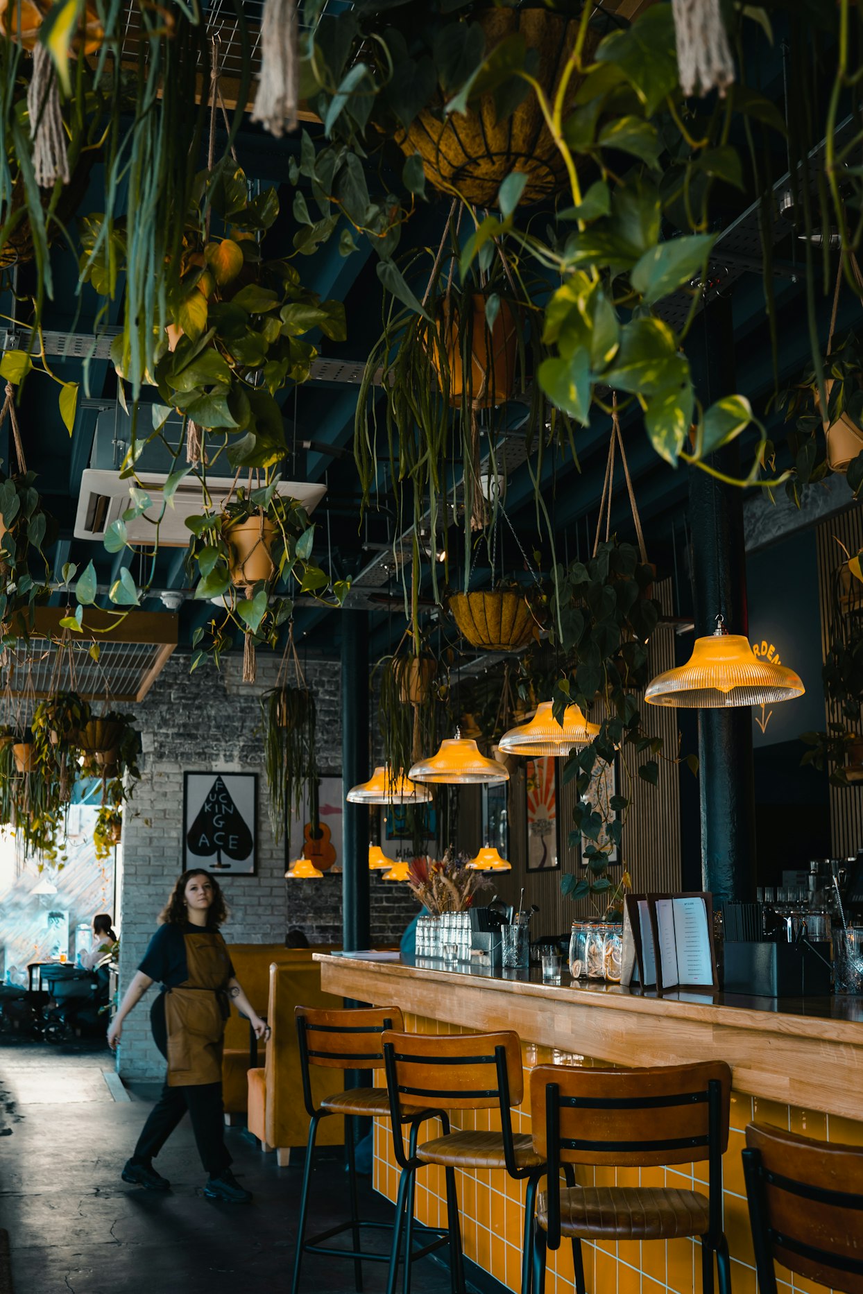 Hanging plant installation