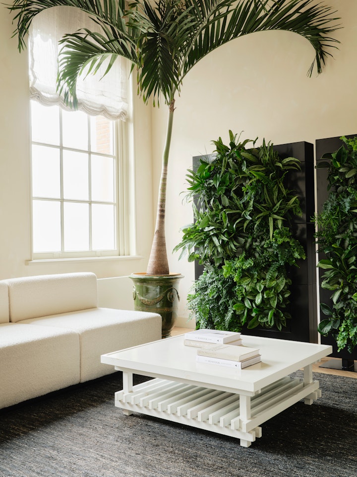 Indoor Plant Design For Your Home