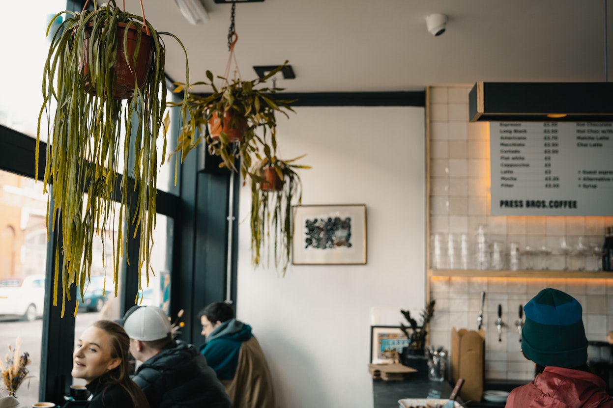 Hanging plant installation