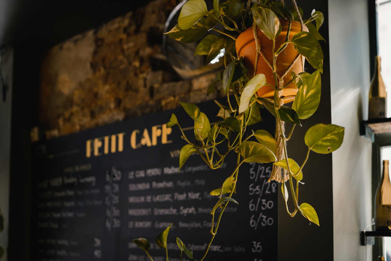 Plants For Your Business