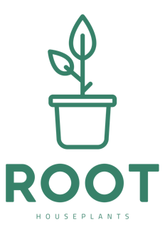 Root Houseplants