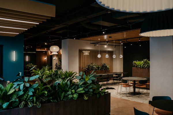 Commercial plant installation in a modern Manchester office, using biophilic design to boost employee productivity and well-being.
