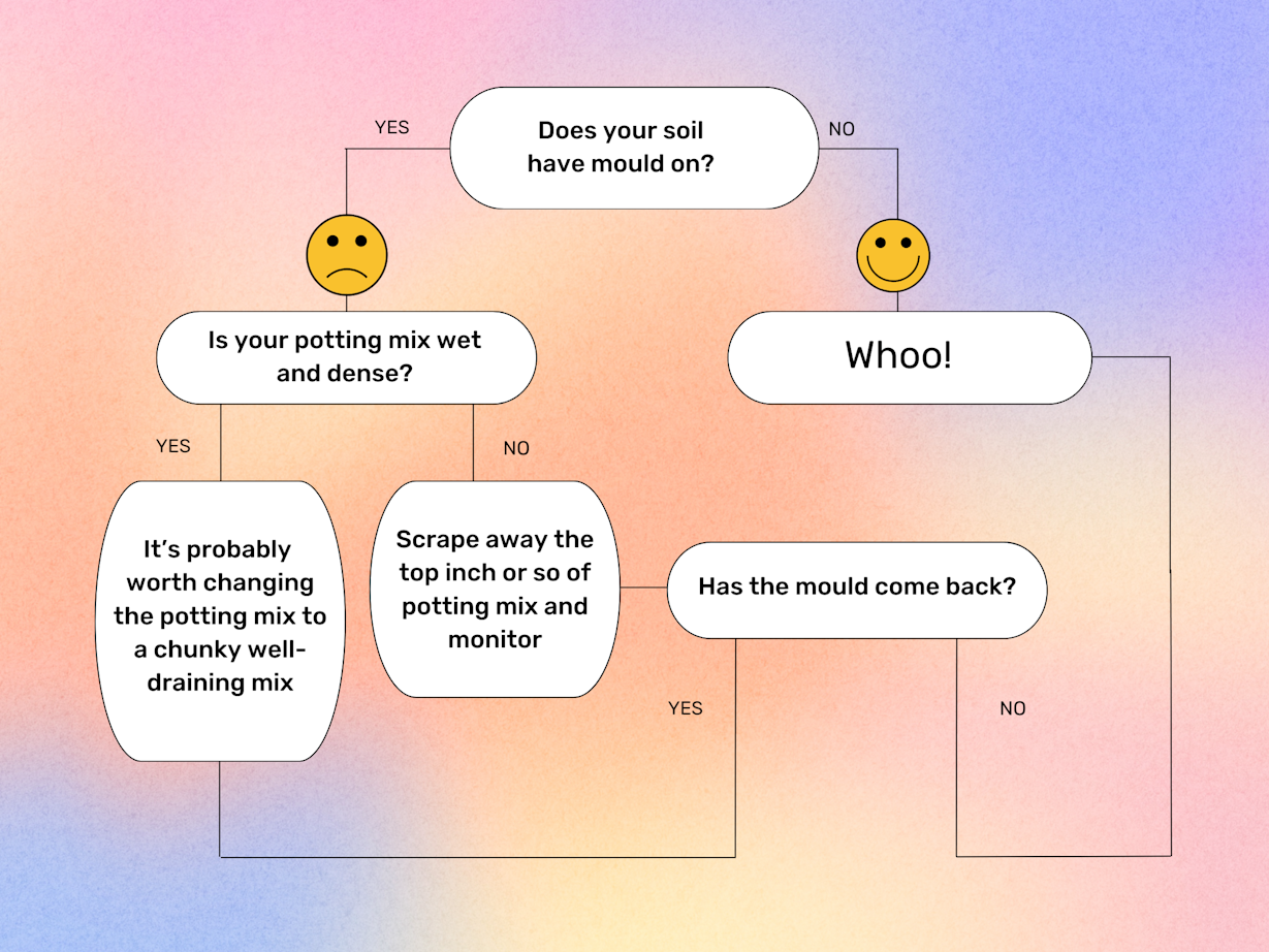 Mould flow chart