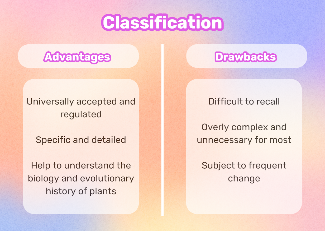Advantages and Disadvantages of Classification