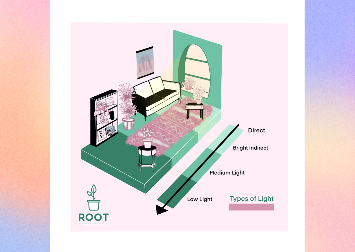 Types of light