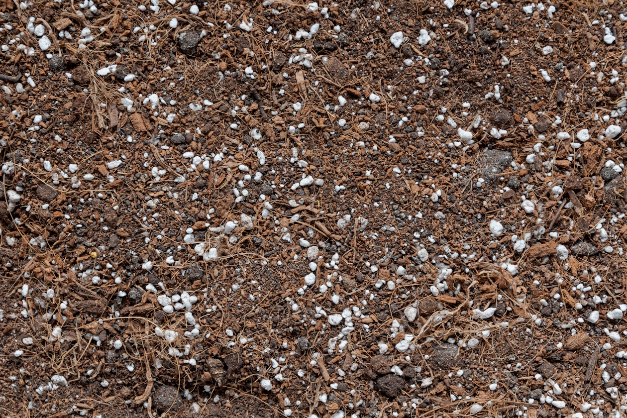What is potting mix?