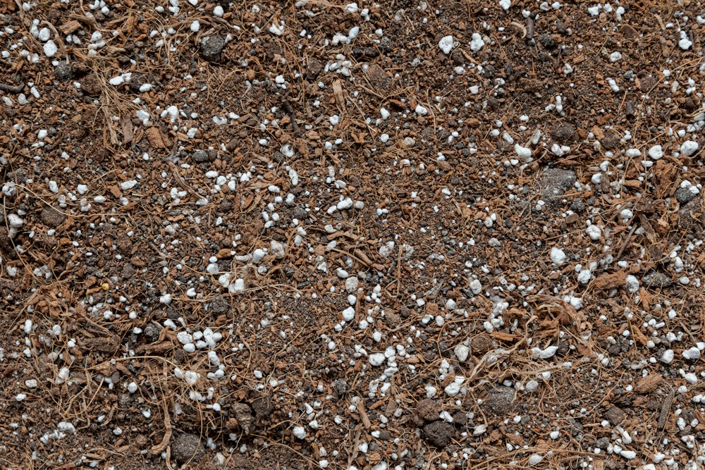 What is potting mix? | Root Houseplants