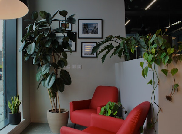 Plants for Business