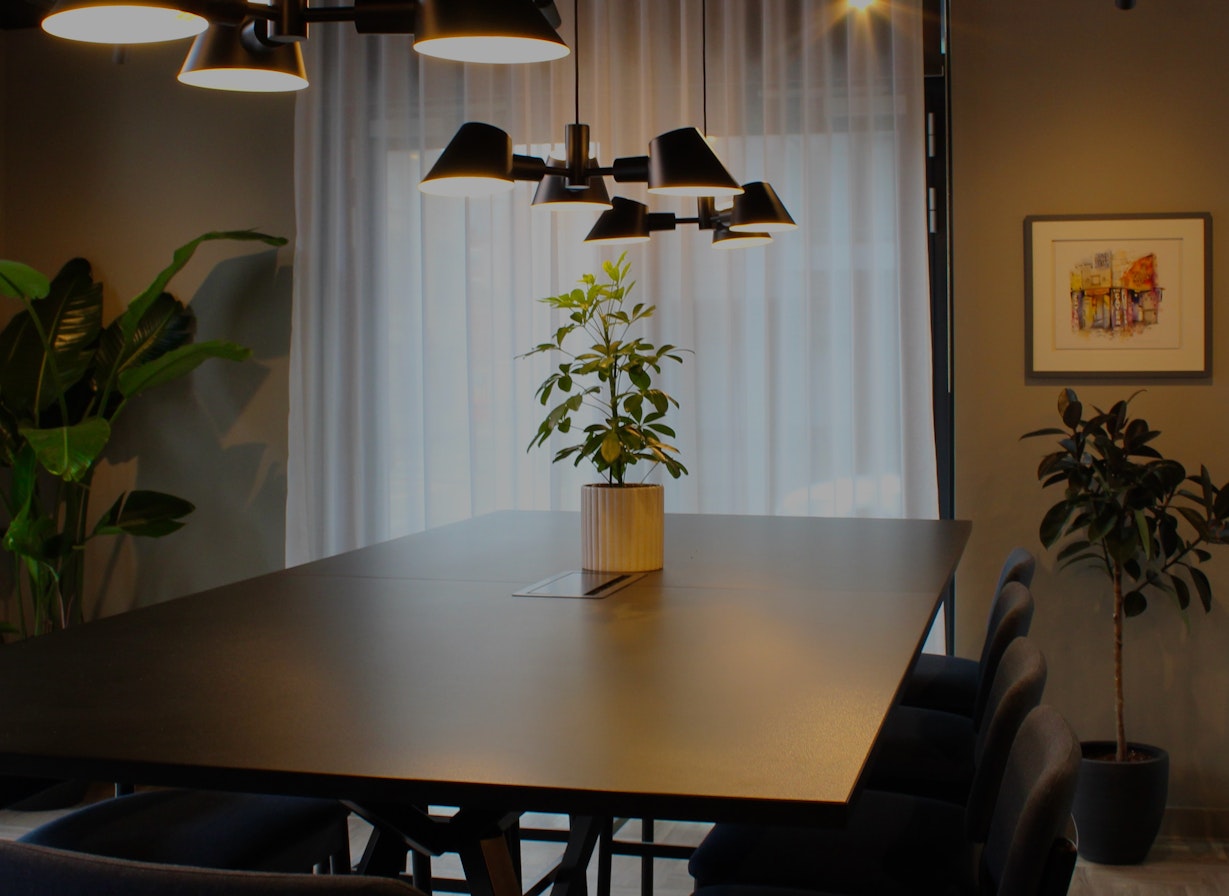 Biophilic design- commercial plant installation