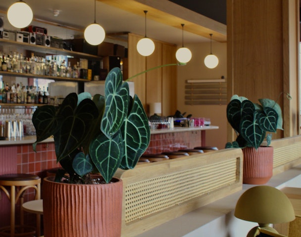 Plants for Business