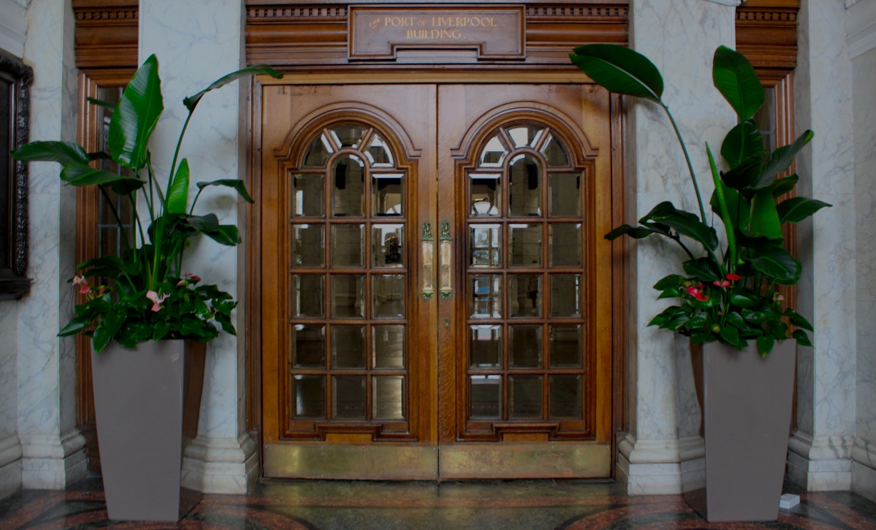 Biophilic design- commercial plant installation