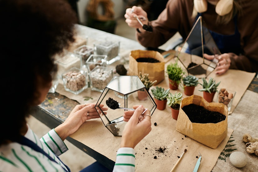 A group workshop at Root Houseplants in Liverpool featuring people building terrariums and learning plant care, ideal for corporate wellness and local hobbyists.