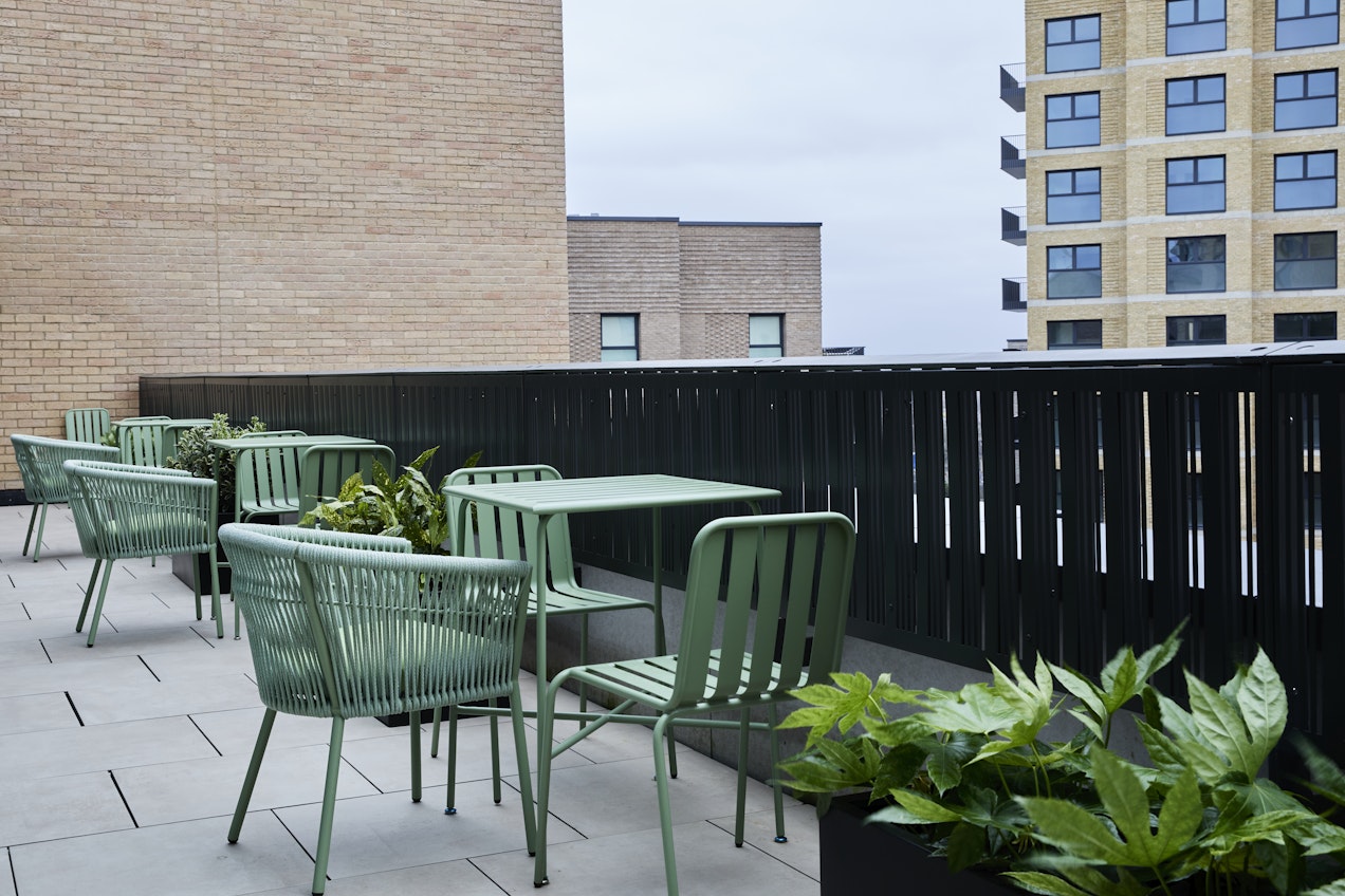 Mixed green foliage in outdoor area Kew, London
