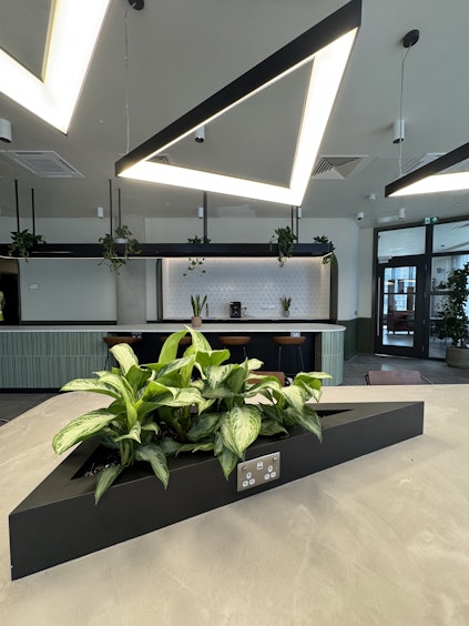 Biophilic plant installation featuring leafy green houseplants integrated into modern built-in planters at Triangle Yard shared living space