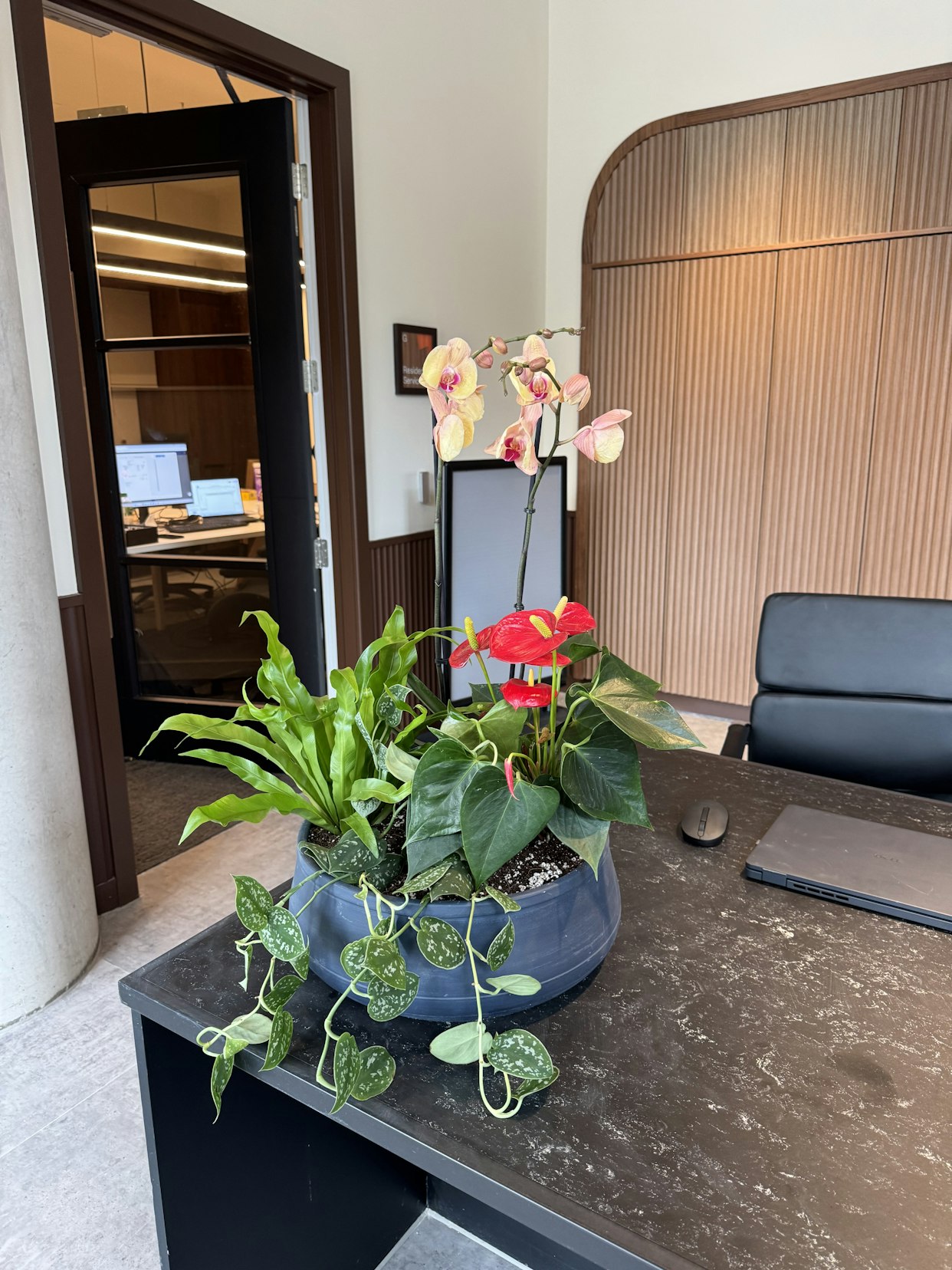 A blue ceramic pot featuring blooming orchids, a vibrant green plant, and trailing greenery on a dark desk in the office space at Triangle Yard, Leeds