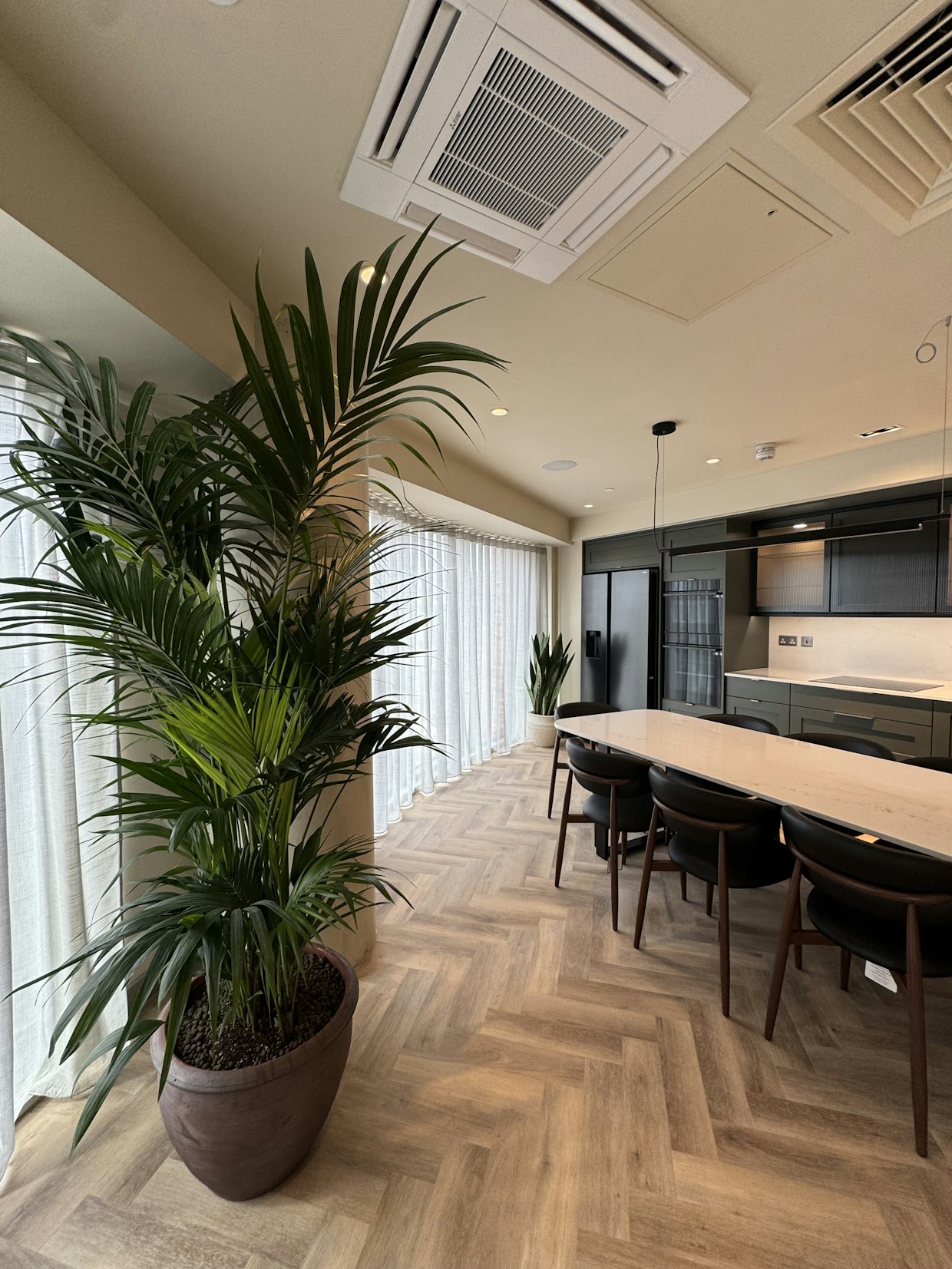 A tall green palm tree in a dark planter standing next to a long wooden communal dining table and kitchen area at Triangle Yard, Leeds