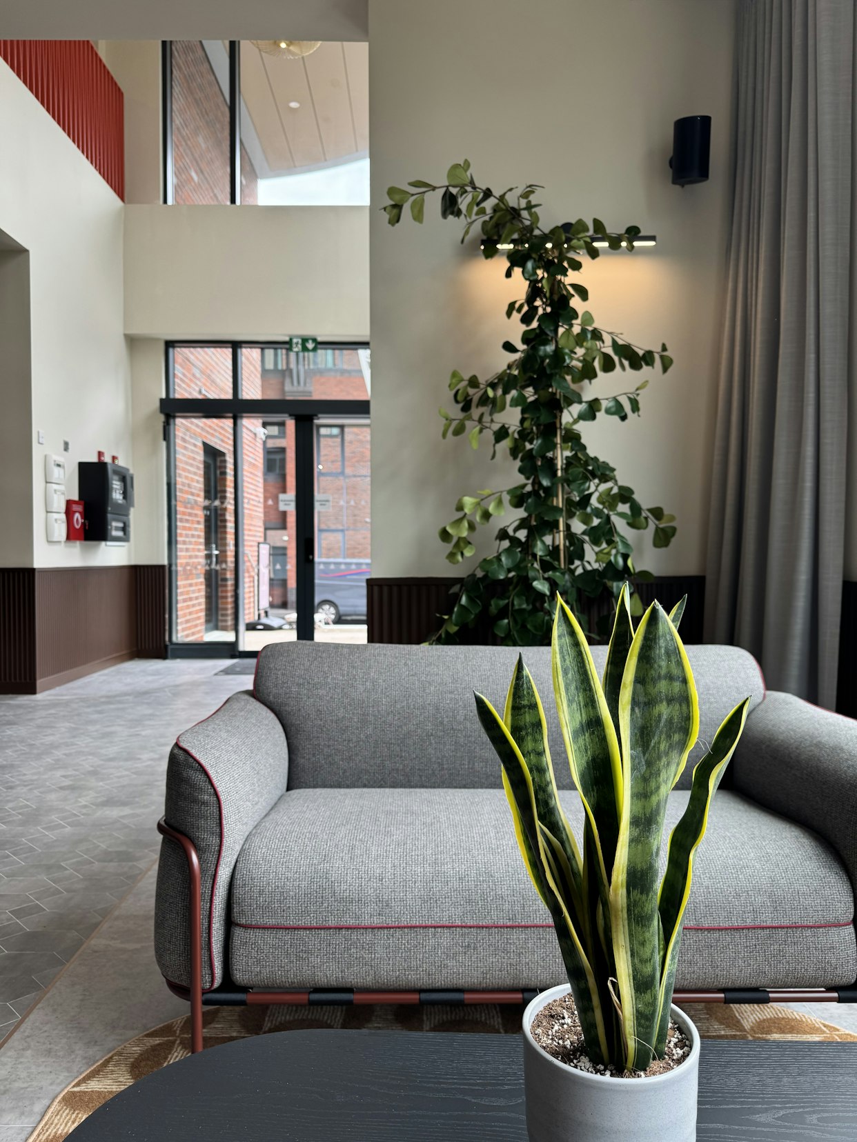A modern grey sofa with dark trim, a coffee table holding a snake plant in a grey pot, and tall trailing greenery against a feature wall at Triangle Yard, Leeds