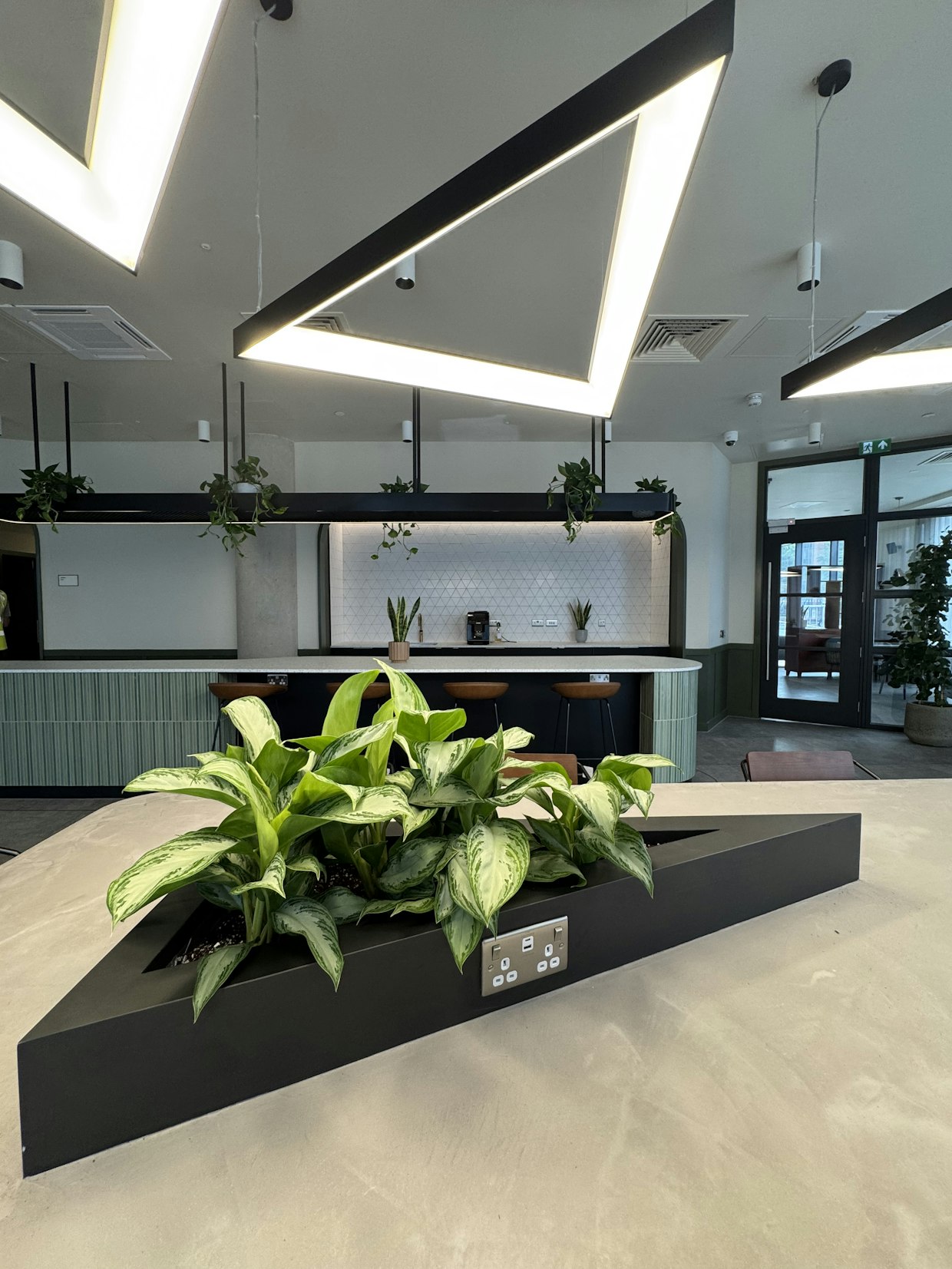 A modern triangular built-in planter featuring lush green houseplants in the center of the contemporary shared living space at Triangle Yard, Leeds