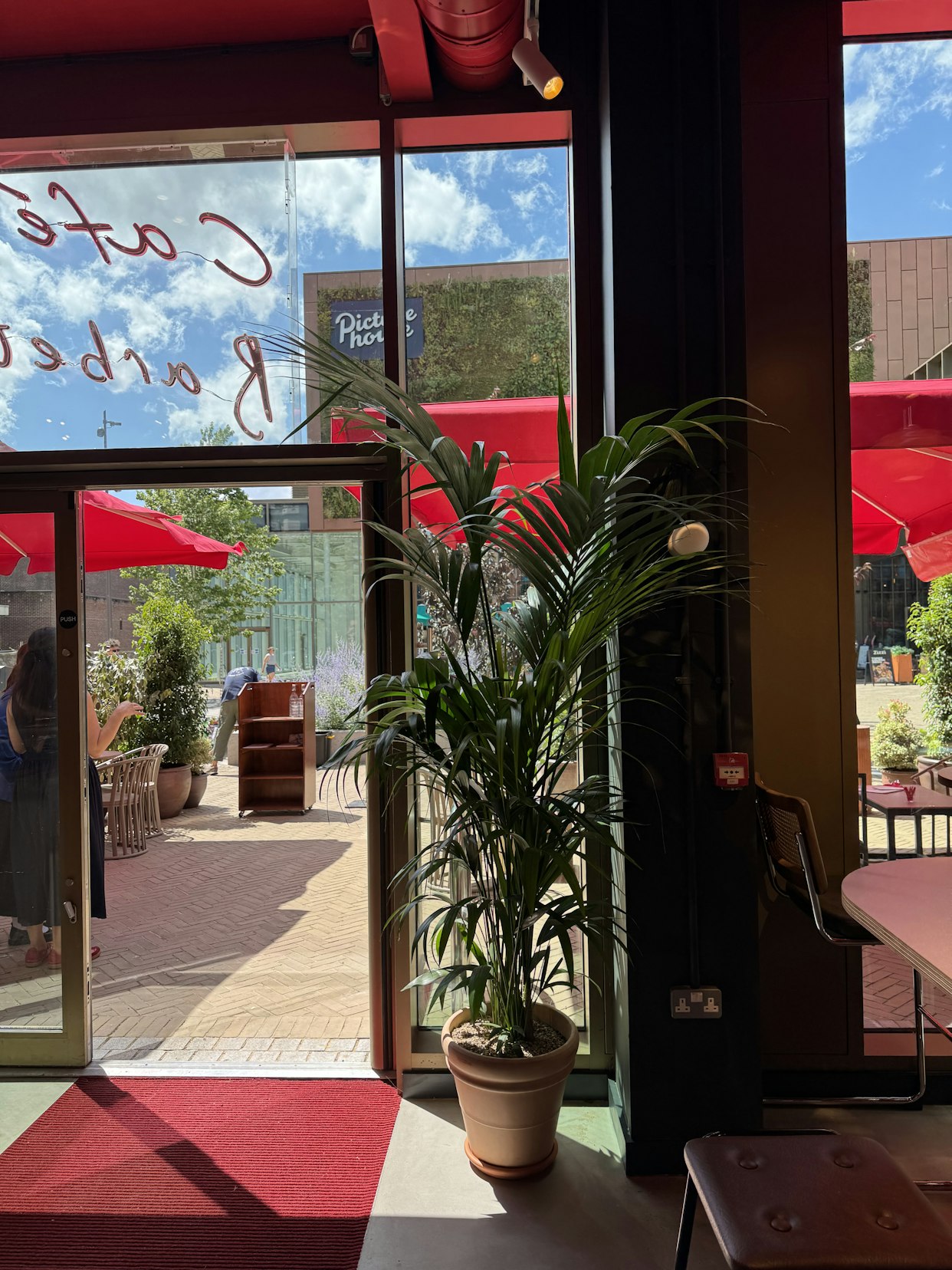 A large green potted palm in a terracotta pot positioned inside the glass entrance doors of Barbette, Chester, looking out onto the sunny outdoor dining terrace with bright red umbrellas.