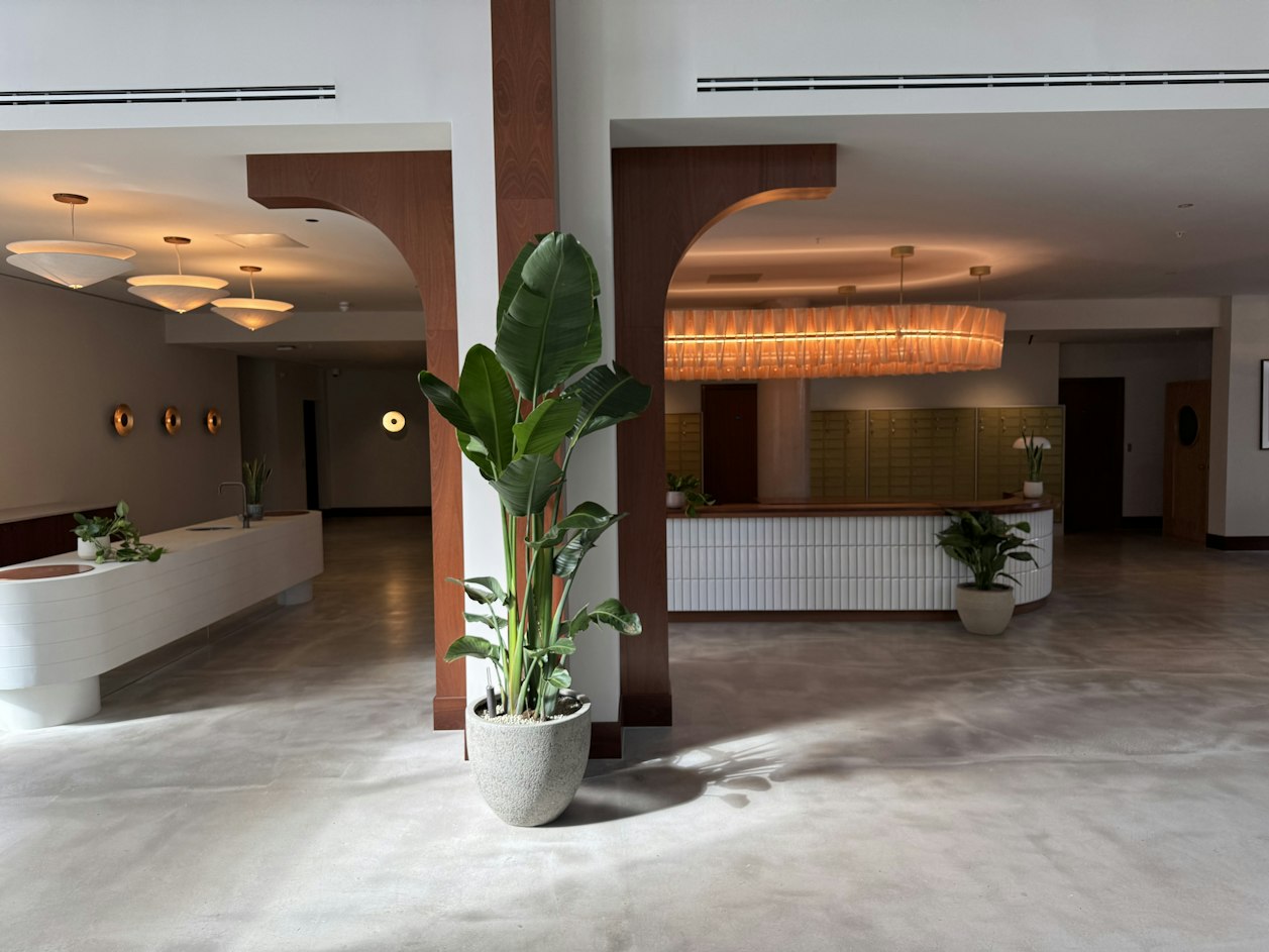 A large Strelitzia nicolai plant decorating a brightly lit resident reception area in London's Aquifer House.