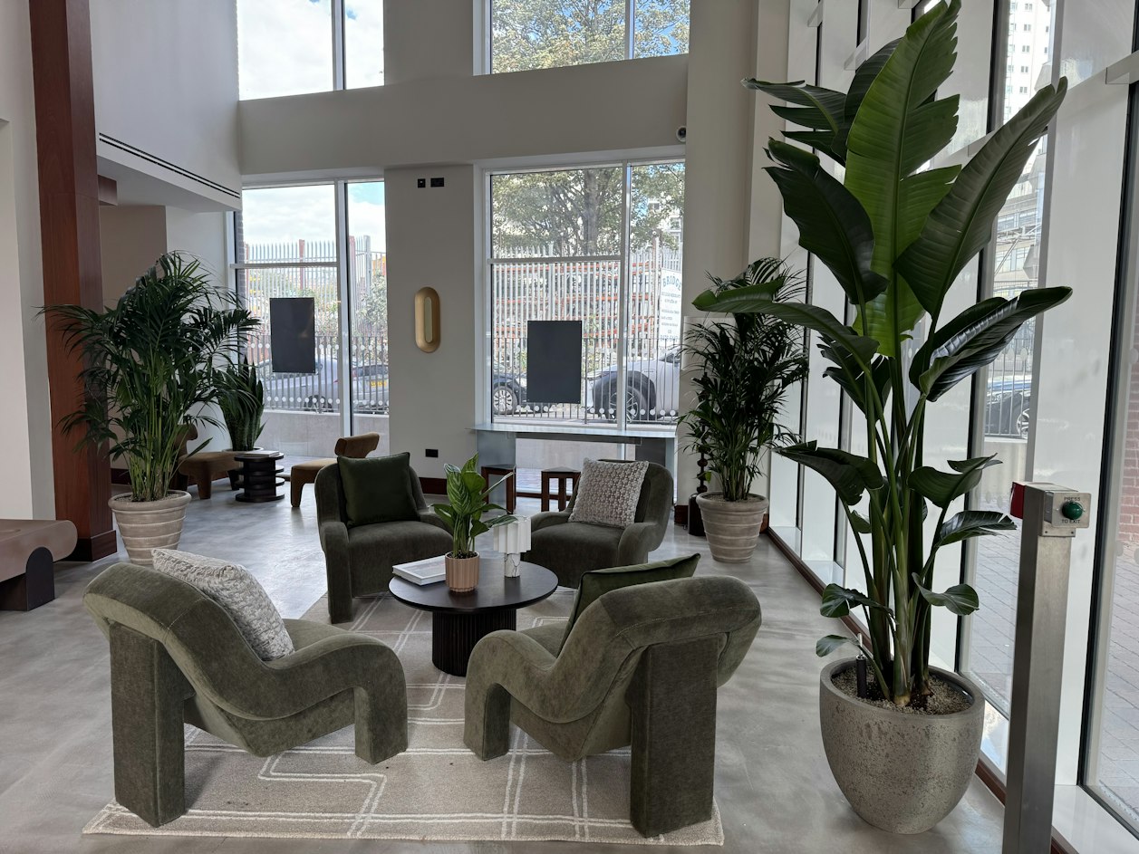 Tall potted plants in a bright, modern London building lounge with large windows and comfortable seating.