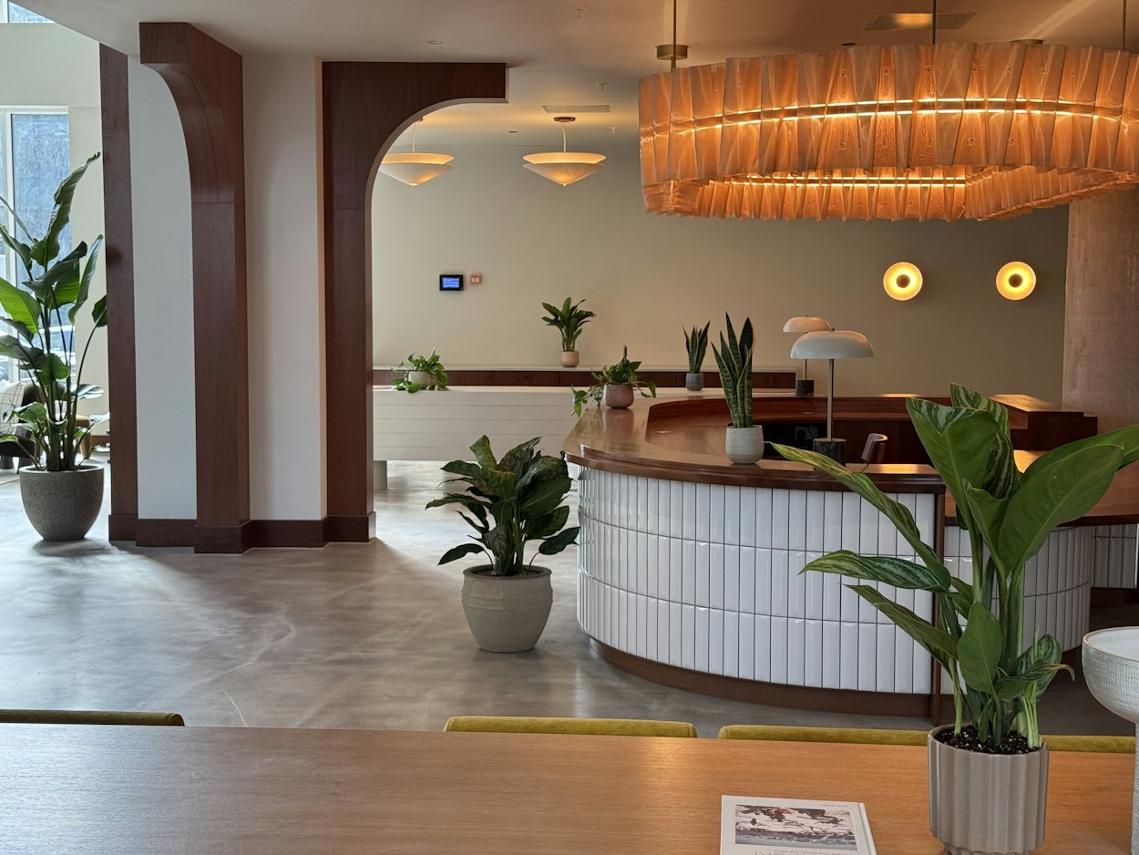 Indoor plants on a contemporary white tiled bar beneath statement warm lighting in a London resident space.