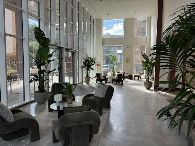 Modern indoor lounge area featuring large architectural houseplants and floor-to-ceiling windows.