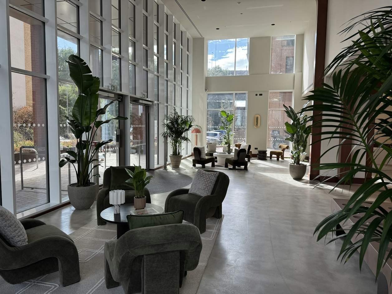 Modern indoor lounge area featuring large architectural houseplants and floor-to-ceiling windows.